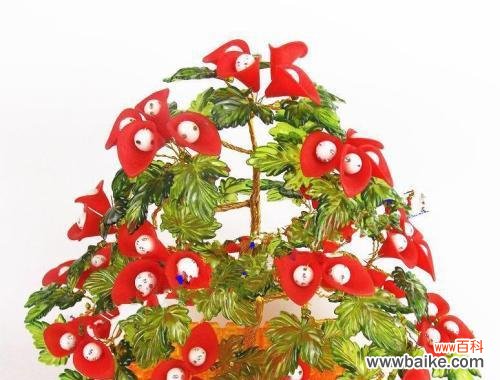 揭秘摇钱树的传奇背后 摇钱树花语与文化象征