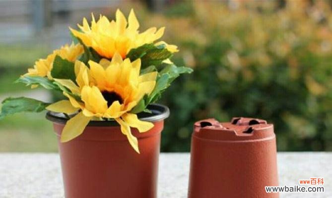 解读养花积水的深层含义 养花积水，别有洞天