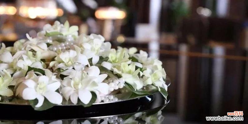 红色代表热情,白色代表真诚,卡萨布兰卡花语传递真挚之情 卡萨布兰卡花语——难以忘怀的美丽