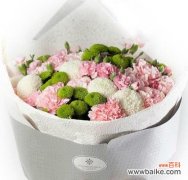 探究不同朵数康乃馨的花语与含义 康乃馨朵数所代表的意义