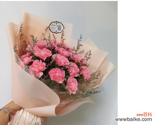 探究不同朵数康乃馨的花语与含义 康乃馨朵数所代表的意义