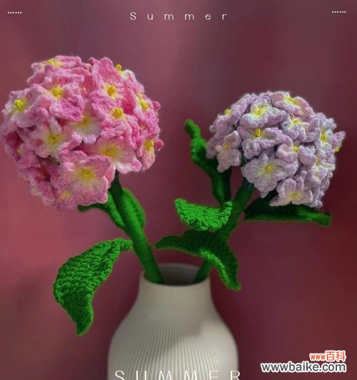 探秘绣球花的文化内涵,了解花语传承 无尽夏绣球花语解读