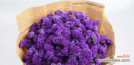 探寻永生花背后的浪漫故事与情感表达 永生花花语