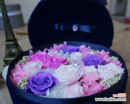 探寻永生花背后的浪漫故事与情感表达 永生花花语