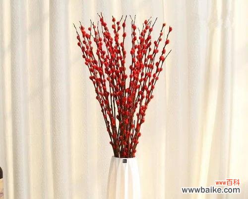 银柳的花语和寓意 银柳——带着希望的青春