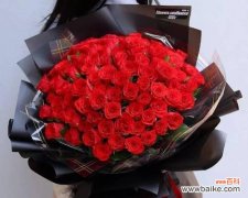 不同颜色的郁金香传递不同的情感与寓意 郁金香花语的奇妙世界