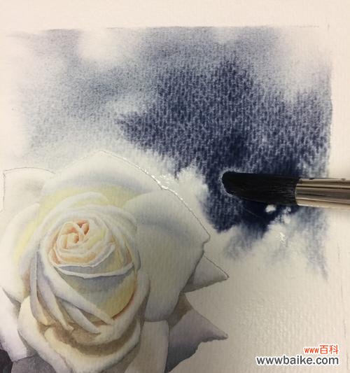 探究一朵白玫瑰所代表的含义 白玫瑰的象征意义