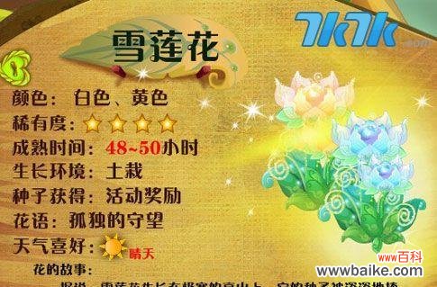 寓意高尚的雪山之花 雪莲花——高洁清雅的花语