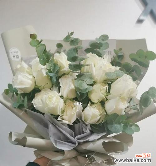 解析白玫瑰所代表的情感和意义 一束白玫瑰的象征意义