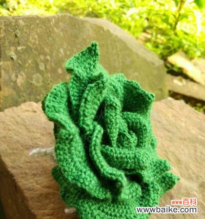 绿色的象征，玫瑰的浪漫，诠释爱情的美好 绿玫瑰花语