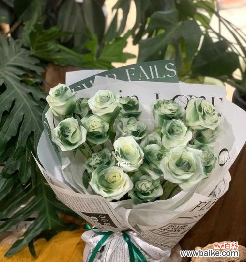 绿色的象征，玫瑰的浪漫，诠释爱情的美好 绿玫瑰花语