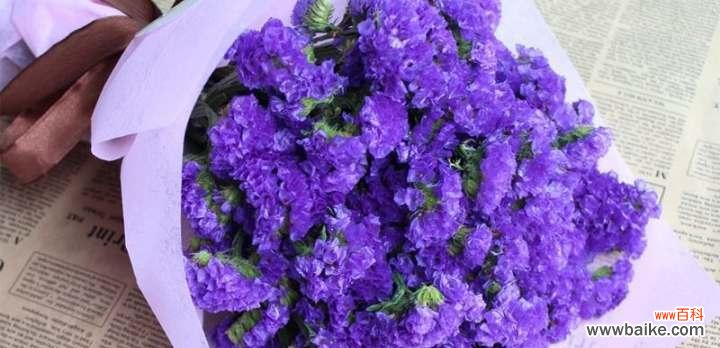 勿忘我花语是什么？这种花代表了什么含义？