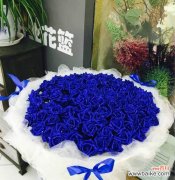 蓝色妖姬的象征意义和文化背景 解密11朵蓝色妖姬的神秘含义