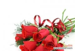 送玫瑰花的寓意：浪漫还是虚伪？