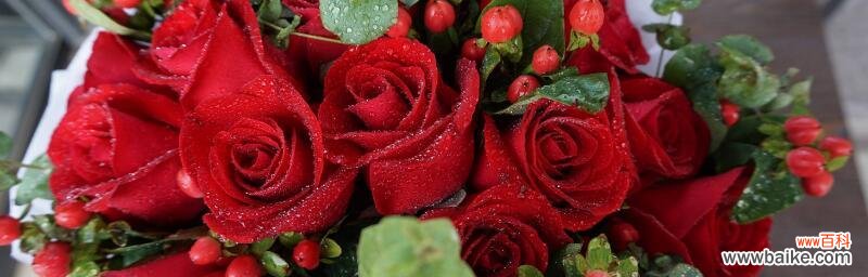 表达浓浓爱意的花束，十九朵红玫瑰 十九朵红玫瑰的花语