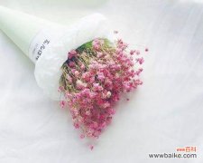 探究这种独特的送礼方式的背后含义 送满天星的含义与象征