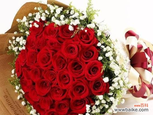 揭示十二朵玫瑰的不同寓意与含义，了解玫瑰花语 十二朵玫瑰的寓意