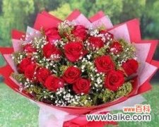 11朵红玫瑰的神秘象征 红玫瑰花语的深意