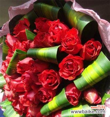 11朵红玫瑰的神秘象征 红玫瑰花语的深意