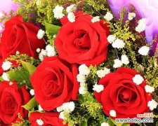 用花语说爱，表达情感 传情达意之玫瑰——11朵花的含义