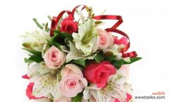 探索15朵玫瑰的深意 玫瑰的花语之解读与传递