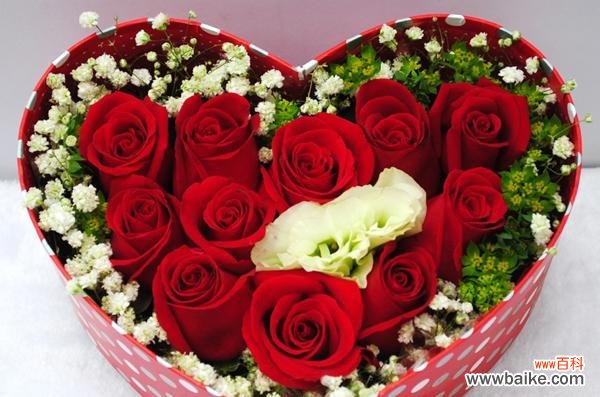 探究11朵玫瑰所代表的花语 11朵玫瑰的花语深意