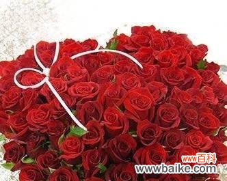 玫瑰花语中的深情告白与祝福 浪漫花语解读——16朵玫瑰代表的含义