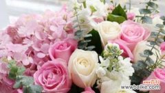 解析18朵玫瑰花所代表的情感和寓意 18朵玫瑰花语的深意