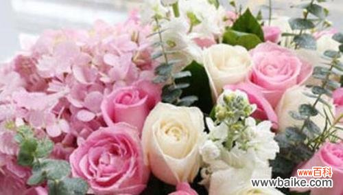 解析18朵玫瑰花所代表的情感和寓意 18朵玫瑰花语的深意