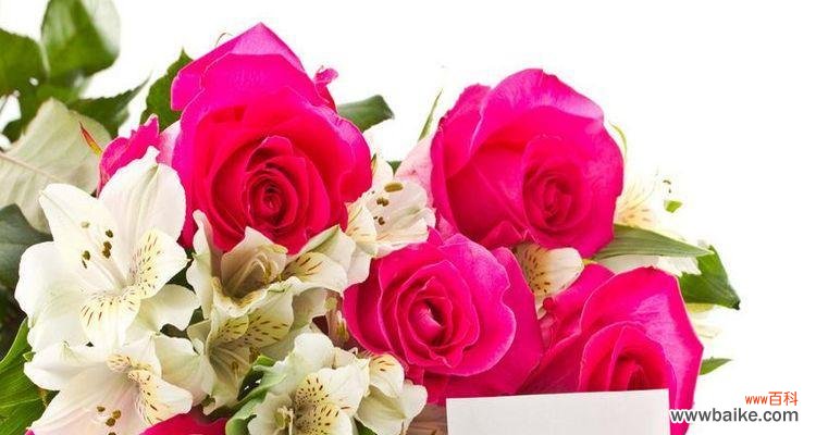 解析18朵玫瑰花所代表的情感和寓意 18朵玫瑰花语的深意