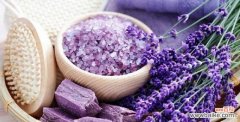 探索紫色薰衣草的神秘世界 紫色薰衣草的花语