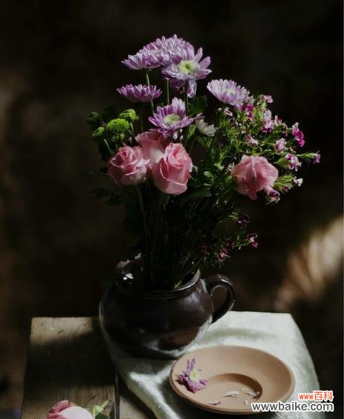 探究黑色桔梗花的神秘背景及象征意义 揭开黑色桔梗花花语之谜