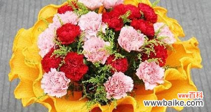 传递爱意的花束-康乃馨 康乃馨的花语与寓意