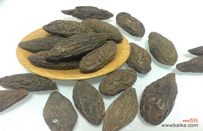 青果的药用功效与食用作用