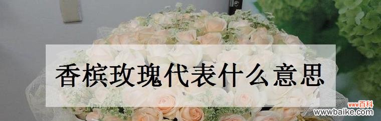 传递爱意的不同语言——玫瑰花的花语解析 解读26朵玫瑰花语