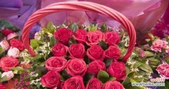 浪漫玫瑰花语的深刻内涵与情感寓意 19朵玫瑰的花语及其象征的爱情之美