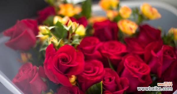 传递真挚情感的花束 19朵玫瑰花的花语之意义与传承