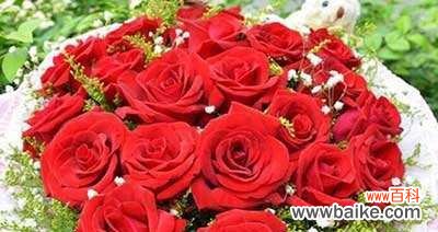 传递真挚情感的花束 19朵玫瑰花的花语之意义与传承