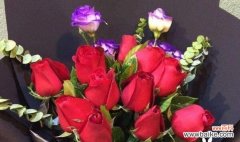 深入解读19朵玫瑰的花语 19朵玫瑰花语之意义与传承