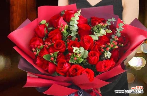 玫瑰的花语和象征 用30朵玫瑰诠释花语的意义