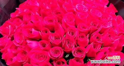 用玫瑰传递爱意 32朵玫瑰花的花语解读——爱情的深情表达