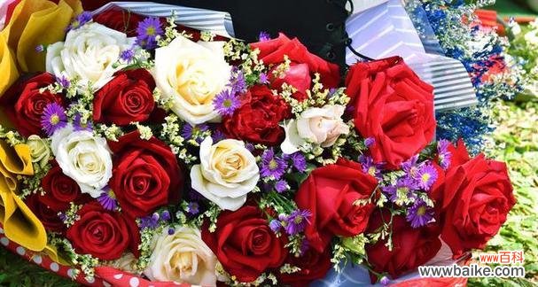 传递浓浓的爱意和承诺 33朵红玫瑰花的花语