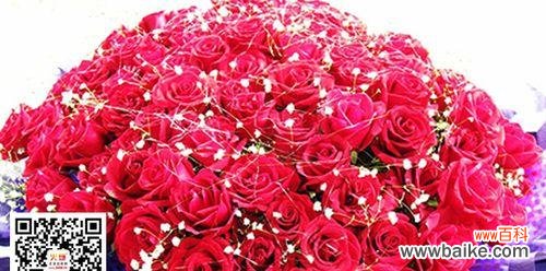 解读33朵玫瑰背后的花语之谜 以33朵玫瑰代表什么花语