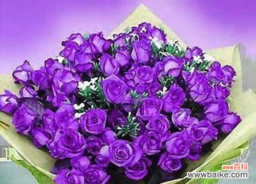 解读33朵玫瑰背后的花语之谜 以33朵玫瑰代表什么花语