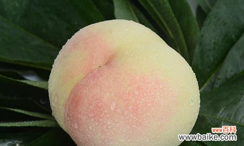 水蜜桃象征意义是什么？为什么它常被用作爱情的象征？