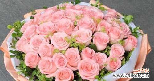 35朵玫瑰花束的意义解读与传达 浪漫的玫瑰花语