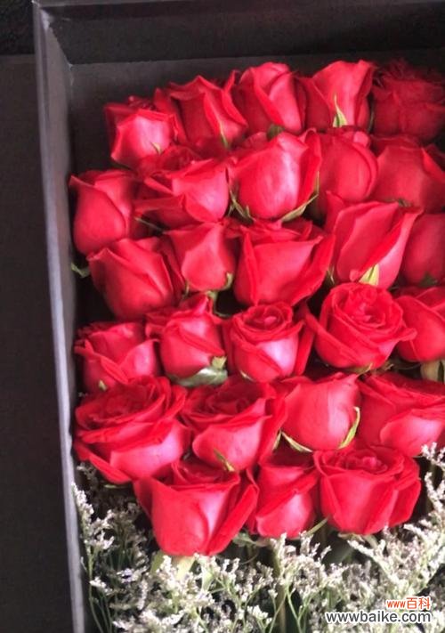 传递浓浓的爱意 52朵玫瑰的花语