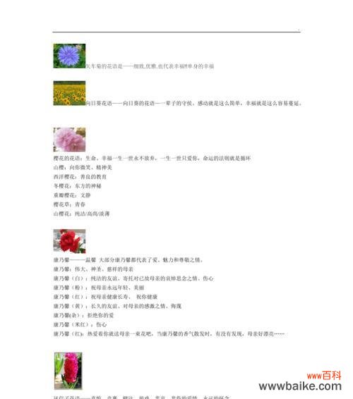 水仙花的花语是什么？它代表了哪些意义？