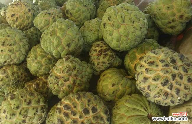 释迦果的功效与禁忌