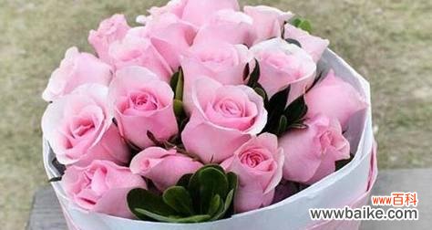 深度解读87朵玫瑰花所蕴含的浪漫与祝福 玫瑰花的花语之谜